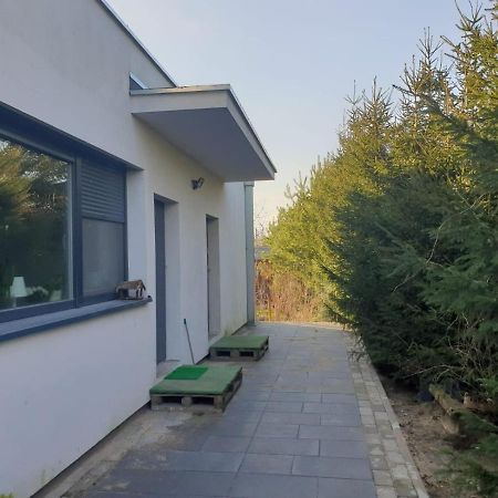 Maly Apartament W Zieleni Blisko Jeziora シロダ・ヴィエルコポルスカ エクステリア 写真