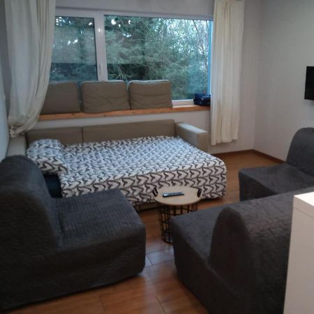 Maly Apartament W Zieleni Blisko Jeziora シロダ・ヴィエルコポルスカ エクステリア 写真