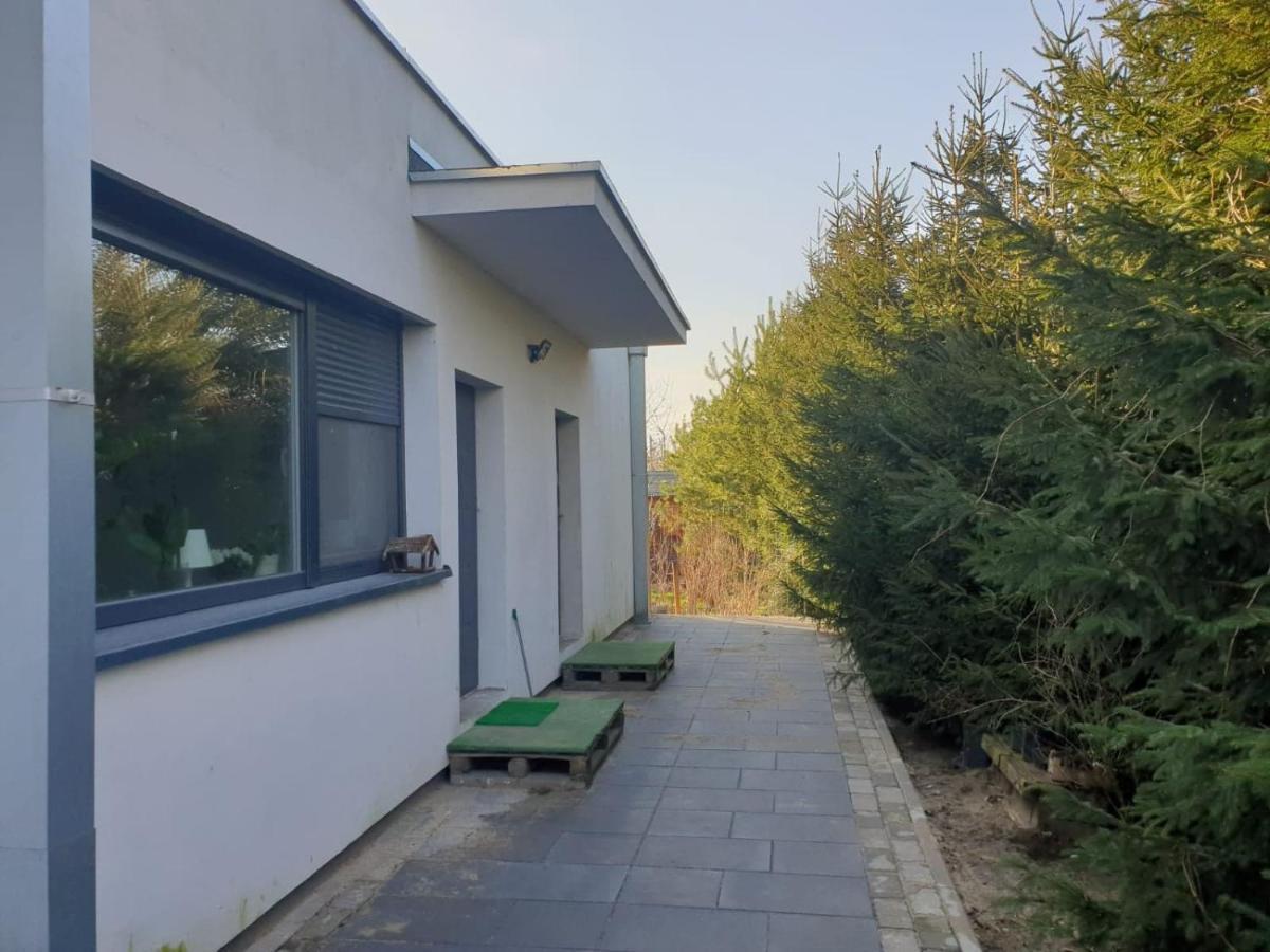 Maly Apartament W Zieleni Blisko Jeziora シロダ・ヴィエルコポルスカ エクステリア 写真